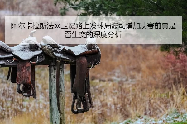 a-er-ka-la-si-fa-wang-wei-mian-lu-shang-fa-qiu-ju-bo-dong-zeng-jia-jue-sai-qian-jing-shi-fou-sheng-bian-de-shen-du-fen-2-401.jpg